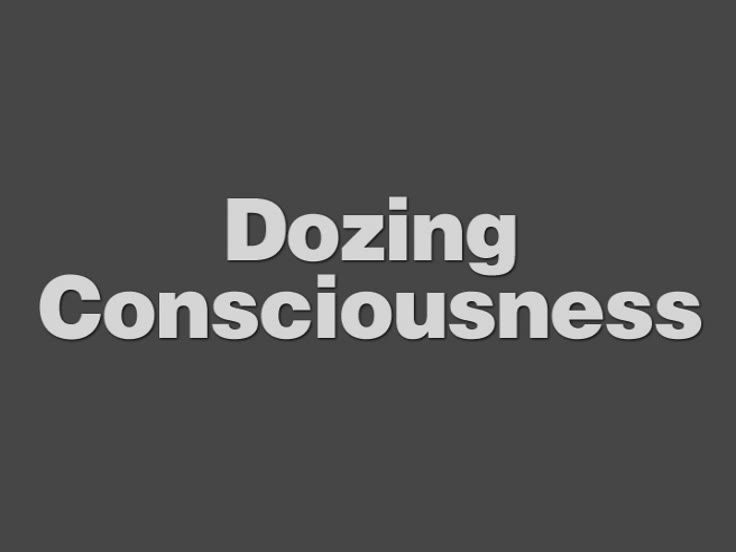 Video Portrait Gallery 13- Dozing Consciousness